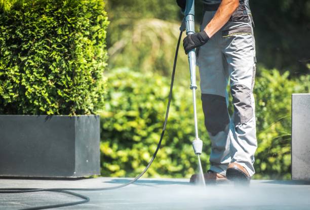 Best Roof Washing  in Lake Panasoffkee, FL