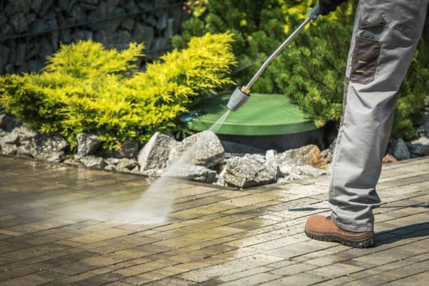 Best Building Exterior Washing  in Lake Panasoffkee, FL