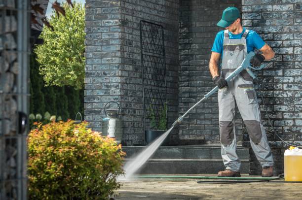 Best Graffiti Removal  in Lake Panasoffkee, FL
