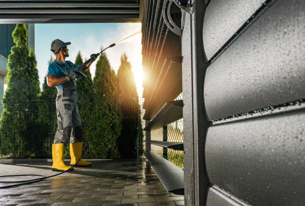 Best Fence Cleaning  in Lake Panasoffkee, FL