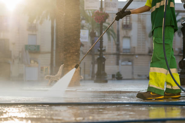 Best Sidewalk and Walkway Cleaning  in Lake Panasoffkee, FL