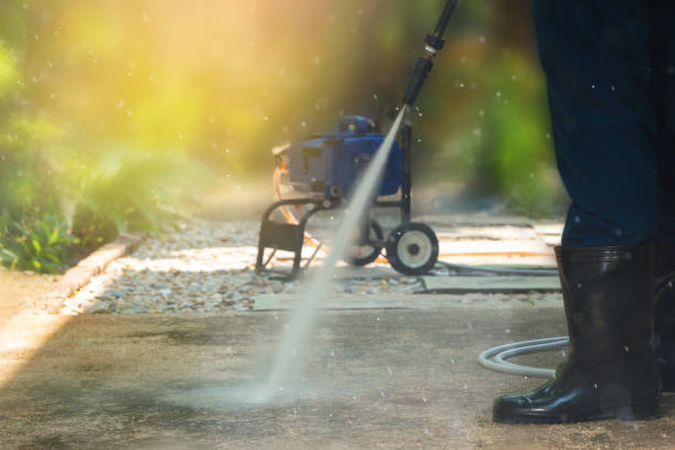 Best Animal Enclosure Cleaning  in Lake Panasoffkee, FL